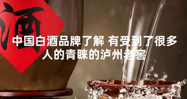 中国白酒品牌了解 有受到了很多人的青睐的泸州老窖